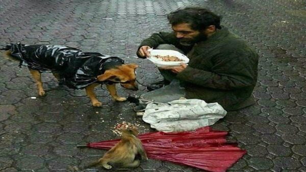  دلت از جنس بلوره شادمهر هوش مصنوعی